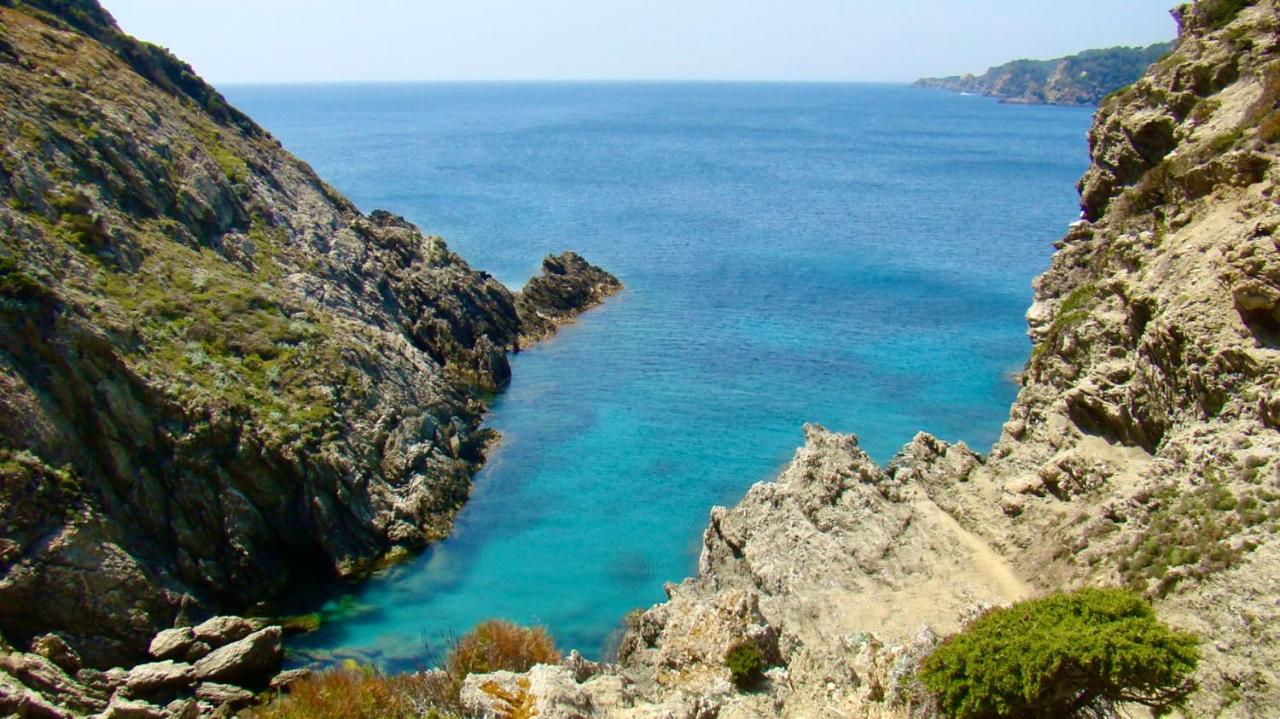 Grand Studio A Hyeres Entre Mer Et Ville المظهر الخارجي الصورة