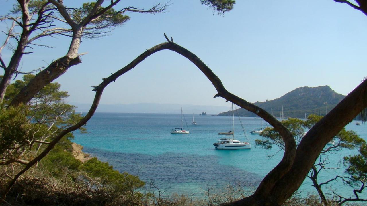 Grand Studio A Hyeres Entre Mer Et Ville المظهر الخارجي الصورة