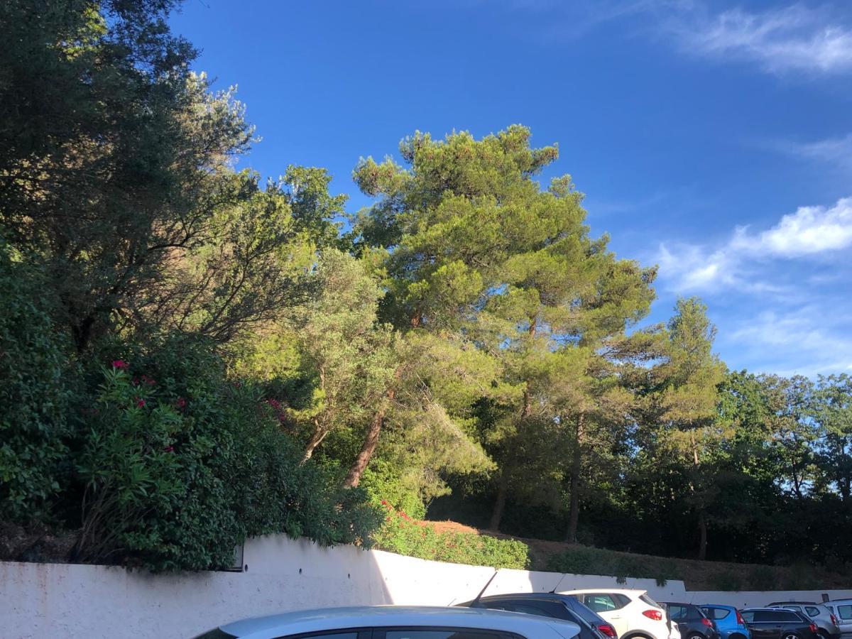 Grand Studio A Hyeres Entre Mer Et Ville المظهر الخارجي الصورة